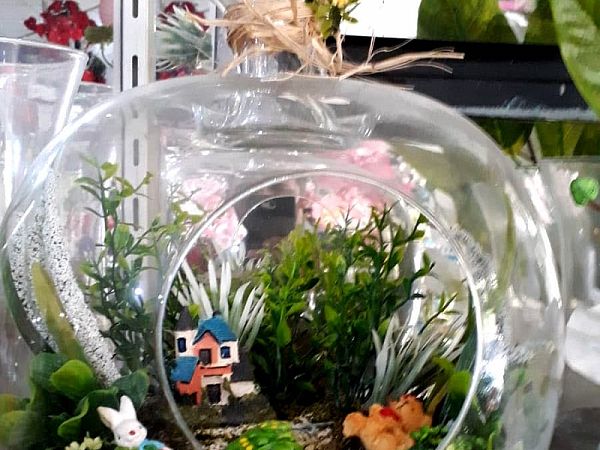 Cam fanus içinde kaktüs ve sukulentlerden hazırlanmış mini bahçe