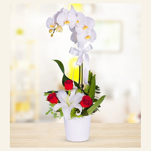Orkide Lilyum Gül Arajmanı — Orkide